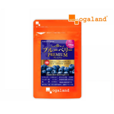 오가랜드 OGALAND 블루베리 프리미엄 90일분 빌베리 루테인 함유, 1개