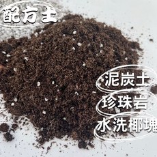 園藝配方土 觀葉植物介質 泥炭土 珍珠岩 椰塊 排水透氣土壤, 1個, 配方土 一包 (約2.6公升)