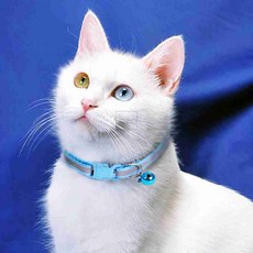 엠비아7 고양이 목걸이 반사 방울 인식표 고양이방울목걸이, 03고양이목걸이-하늘