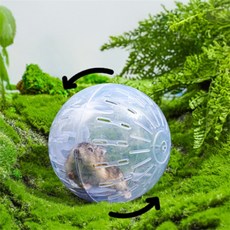 정그리공구 햄스터 운동볼 소동물용품