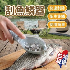 快速刮魚鱗器 附蓋 廚房好幫手, 1個