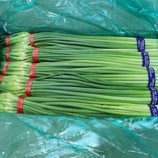 신선 수입 마늘쫑 7kg 장쫑 식자재 업소용 대용량 수입전문업체 유어컨, 1박스