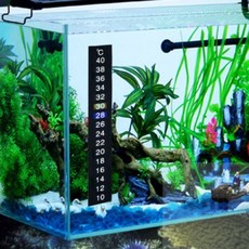 서규몬 스티커형 어항 온도계 수족관어항