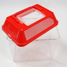 [BJMarket] 사각 곤충채집통 소 잠자리통