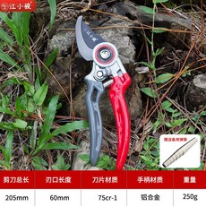 桃園出貨 熱銷 強力剪樹枝專用剪子家用修剪果樹修枝剪刀粗枝剪花枝園藝剪工具, 1個, [加倍耐用淬火鍛造]風火輪修枝剪