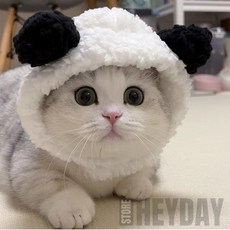 고양이 모자 고양이귀모자, 브라운 곰