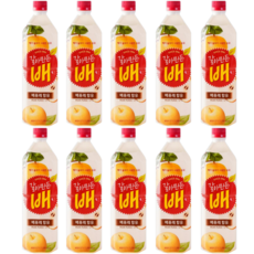 해태음료 갈아만든 배, 1L, 10개