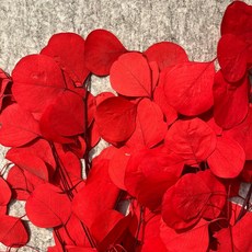 台灣現貨 仿真蘋果葉尤加利，免澆水仿真植物，居家裝飾綠植，客廳臥室擺設, 20P紅(漂色), 1個