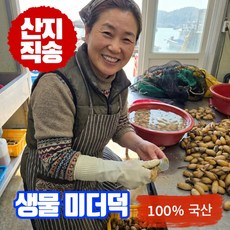 어부의뜰 마산 진동 국산 생물 미더덕 손질 햇 국내산, 1개, 500g