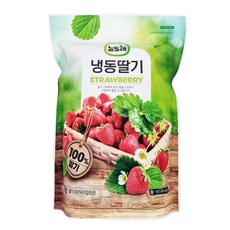 뉴뜨레 냉동딸기 4kg(1kgx4) 이집트산 무가당홀, 1개, 4kg(1kgx4팩)
