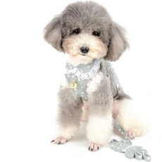강아지 하네스 목줄 보호 리드줄 RANPHY 소형견용 울트라 고양이 및 리드 세트 스타일리시 귀여운 애완동물 메시 옷 강아지용 치와와용 안전한 통기성 좋은 털 빠짐 없음 산책용, S(가슴 길이: 28-40cm; 체중 1.5-3.5kg, 회색