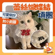 百福鴨 寵物蕾絲圍巾蝴蝶結項圈 貓咪狗狗蕾絲項圈 可愛優雅風 台灣隔日配, 1個, 黑色鈴鐺款,XS