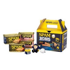 스팸 BDNS 클래식 200g x 2p + 닭가슴살 200g x 2p + 키링 세트, 5세트