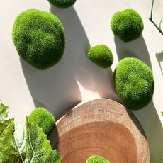 풀지샵 인테리어 이끼돌 세트 10입 실내정원만들기