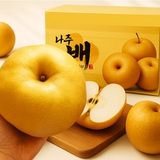 오늘꿀맛 13brix 고당도 나주배 농장직송 햇신고배, 1박스, 가정용 5kg