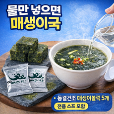 목포는항구다 동결건조 매생이 블럭 5개 간편 매생이국 스프포함, 한끼매생이1BOX