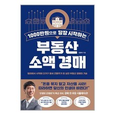 1000만원으로 당장 시작하는 부동산 소액 경매, 반니, 김동하