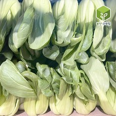 청경채 4kg 2박스 묶음, 1개, 8kg
