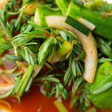 맛깔나는세상 100% 국내산 맛있는 돗나물(돌나물)물김치, 1.5kg, 1개