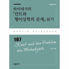 하이데거의 칸트와 형이상학의 문제 읽기(세창명저산책 107), 세창출판사