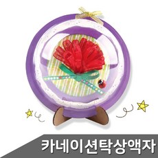 재고소진시단종 카네이션 탁상 액자 만들기 sm2*759aV