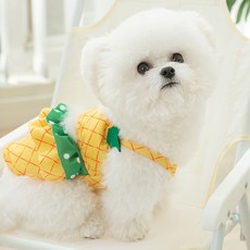 리빙공감 댕댕 강아지 물놀이 수영복 비키니, 파인애플, 1개