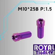 ROYAL TIGALAY M10*25B P:1.5 鈦合金錐型頭螺絲, 1個