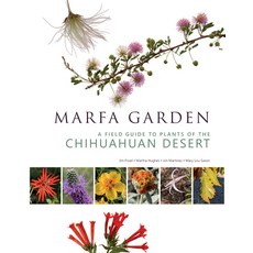 (영문도서) Marfa Garden: A Field Guide to Plants of the Chihuahuan Desert Paperback, Maverick Books, English, 9781595343161