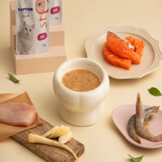 베러펫 캣냠 스튜 소프트 스프 습식사료, 연어, 70g, 6개