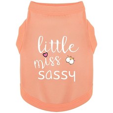해외 Paiaite 강아지 옷 패셔너블한 민소매 애완동물 조끼 'Little Miss Sassy' 프린트 면 셔츠 소형 중형 대형견에 이상적 편안함과 통기성 보장 그린 XXS, 4XL-(50~77lb) | Chest(~35 ).