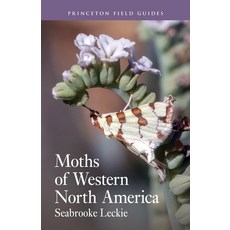 (영문도서)Moths of Western North America Paperback, Princeton University Press, English, 9780691232881