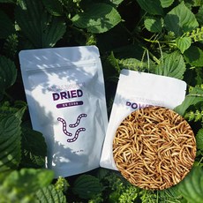 [엔토모] 건조 밀웜 밀웜 분말 / 고슴도치 거북이 앵무새 햄스터 닭 도마뱀 간식, 100g, 1개, 밀웜 분말(100g)