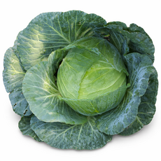 [산지뛰는남자] 아삭한 양배추 3kg 5kg 10kg, 1박스