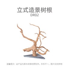 파충류 유목 애완동물 뿌리 거북이 나무 수목 도마 레온, 천연조경수근M호