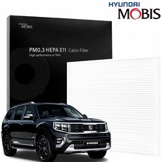 모하비 더마스터 에어컨필터 PM0.3 공기청정기 필터 환기 시스템 먼지 거기 냉방 효율, 13번