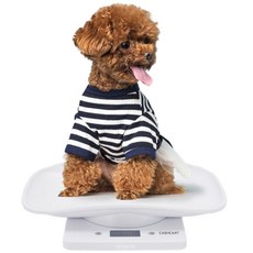 캐쉬카트 반려동물 체중계 펫저울, 화이트, 1개, JM-K13