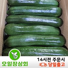 < 오일장 상회 >국내산 쥬키니호박 특등급 10kg내외 1박스, 1개