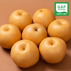 [농부들의수확][26년 햇배][GAP인증] 나주배 가정용 특품 5kg 5-7과, 1박스, 5kg(5~7과)