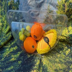 천리잡화점 프룻백용기 과일케이스 선물바구니 어버이날 가정의달, 10개, 1세트