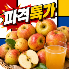 [개꿀과일] 주스용사과 민생안전 초특가가성비, 1박스, 10kg
