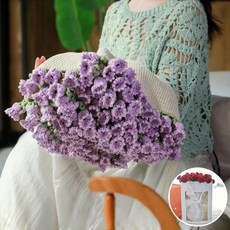 AVENIX 꽃다발담요 핸드메이드 장미 블랭킷 패키지 여자친구 이색선물