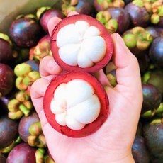 달콤하고 신선한 생 망고스틴, 1박스, 500g