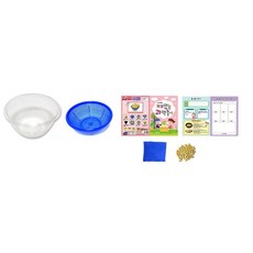 어린이 과학 놀이 콩나물 키우기 세트 유아과학 관찰 관찰기록 실험 식물 콩나물키우기 기록지 수경재배, 1개