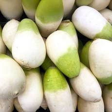 [더조은] 제주 세척 월동무 10kg (개당 800-1200g), 없음, 1개