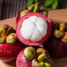 [프레쉬서비스] 수입 생 망고스틴, 1개, 망고스틴 500g(5-8과)