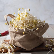 친환경 국산콩 콩나물 2kg 무농약 아삭한 간편조리 콩나물, 1개