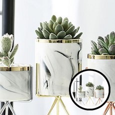 키밍 다육이 선인장 화분 고급 인테리어 소품 거치대 소형, 대형, 로즈골드, 1개