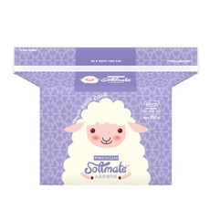 소프트메이트 건티슈 프리미엄 160매 4팩