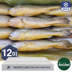 황금물고기 고소한 부세조기 냉동조기부세 3.4kg, 1박스, 12미(특대)