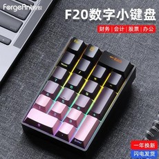 Forgant F20 미니 유선 숫자 외부 키패드 PC 컴퓨터 액세서리 숫자 패드 선물용 20 키 맞춤형 ABS, A, Blue Switch, 1개